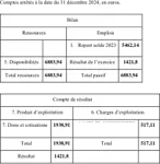 Bilan asso année 2024.pdf